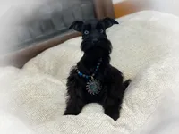 processed/ac9429ba-6088-416a-8b14-54a6599f1493/listing/d5bc1394-f135-4eb4-9f0e-11bff5fd481c/3fd2755d-ca08-4e41-8451-9b82d829b063