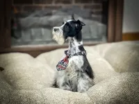 processed/ac9429ba-6088-416a-8b14-54a6599f1493/listing/d5bc1394-f135-4eb4-9f0e-11bff5fd481c/537f46c6-1f89-47dd-9ab8-798e241a3eb5