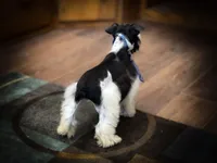 processed/ac9429ba-6088-416a-8b14-54a6599f1493/listing/d5bc1394-f135-4eb4-9f0e-11bff5fd481c/8b705518-b0d1-4eac-a216-00d4bd40df00