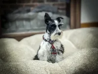 processed/ac9429ba-6088-416a-8b14-54a6599f1493/listing/d5bc1394-f135-4eb4-9f0e-11bff5fd481c/bf9ff18c-b6ab-45ee-959e-2d70c3b6b1d2