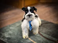 processed/ac9429ba-6088-416a-8b14-54a6599f1493/listing/d5bc1394-f135-4eb4-9f0e-11bff5fd481c/d6a5c5b3-cd49-4b47-9843-0c08d5262289