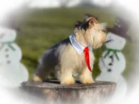 processed/ac9429ba-6088-416a-8b14-54a6599f1493/listing/d72126cb-6943-40fe-98e5-efeb5787328d/59d4376b-735f-4917-a933-45542ee5d241