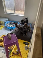 Facility photo