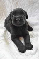 processed/ac9cf5bc-bf41-4fc0-bac6-3ac571e7202b/facility/11ddbce2-e220-4df2-b6bf-8cb6076e33d1