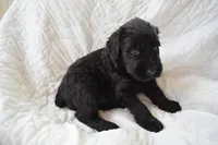 processed/ac9cf5bc-bf41-4fc0-bac6-3ac571e7202b/facility/1c7c72a8-4b16-4e66-abcd-a6cbcdd9fb88