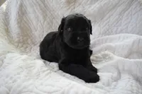 processed/ac9cf5bc-bf41-4fc0-bac6-3ac571e7202b/facility/3140f64a-00a0-46cd-95e5-61b5727e3d18