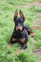 processed/ac9cf5bc-bf41-4fc0-bac6-3ac571e7202b/facility/423d36cd-00a1-4e6f-97d4-d55ae5175140