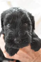 processed/ac9cf5bc-bf41-4fc0-bac6-3ac571e7202b/facility/981b418d-d538-43d9-8abc-d8118ac13474