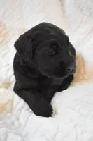 processed/ac9cf5bc-bf41-4fc0-bac6-3ac571e7202b/listing/406f4112-9da7-442d-b4d1-e8bf52cef7b9/f9abe26c-bc6f-42bc-bceb-d54fe65f29a9