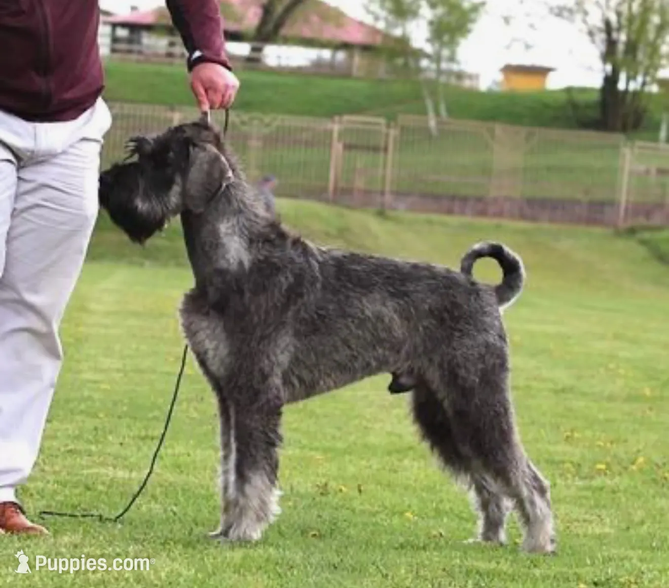 processed/ac9cf5bc-bf41-4fc0-bac6-3ac571e7202b/listing/4c3982b0-988a-4857-8e1c-a29a1ab50b77/5d4db754-02eb-4c83-9d40-73117e26330f