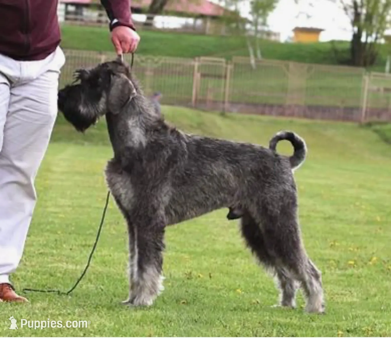 processed/ac9cf5bc-bf41-4fc0-bac6-3ac571e7202b/listing/4da5900c-c511-4c5c-9657-2e425490b0c4/a814769b-249f-4b32-a7e6-49c85e7338a2