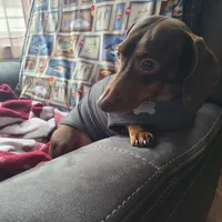 processed/aca1e3a2-04a9-48a6-a5f0-d93b9728f97c/facility/1318b425-3faf-4ee2-b172-834296cdcf97