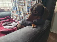 processed/aca1e3a2-04a9-48a6-a5f0-d93b9728f97c/facility/1318b425-3faf-4ee2-b172-834296cdcf97