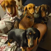 processed/aca1e3a2-04a9-48a6-a5f0-d93b9728f97c/facility/135a6086-edd5-4325-93f0-5c9e84209f14