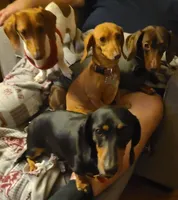 processed/aca1e3a2-04a9-48a6-a5f0-d93b9728f97c/facility/135a6086-edd5-4325-93f0-5c9e84209f14