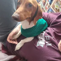 processed/aca1e3a2-04a9-48a6-a5f0-d93b9728f97c/facility/3a617439-93d4-485a-a7ec-3b400fdd88c9