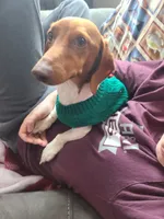 processed/aca1e3a2-04a9-48a6-a5f0-d93b9728f97c/facility/3a617439-93d4-485a-a7ec-3b400fdd88c9