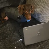 processed/aca1e3a2-04a9-48a6-a5f0-d93b9728f97c/facility/4a0c5b73-0c5b-4338-a77a-ecce66e60310