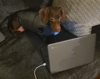 processed/aca1e3a2-04a9-48a6-a5f0-d93b9728f97c/facility/4a0c5b73-0c5b-4338-a77a-ecce66e60310