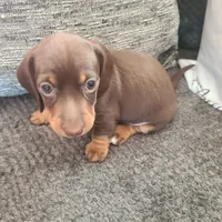 processed/aca1e3a2-04a9-48a6-a5f0-d93b9728f97c/facility/5fc5d27d-0dbe-4581-b59e-33fcb8c39744