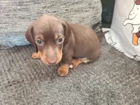 processed/aca1e3a2-04a9-48a6-a5f0-d93b9728f97c/facility/5fc5d27d-0dbe-4581-b59e-33fcb8c39744