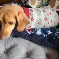 processed/aca1e3a2-04a9-48a6-a5f0-d93b9728f97c/facility/7fd27e7d-bd22-4620-bb11-0054a8fc905e