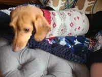 processed/aca1e3a2-04a9-48a6-a5f0-d93b9728f97c/facility/7fd27e7d-bd22-4620-bb11-0054a8fc905e