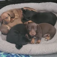 processed/aca1e3a2-04a9-48a6-a5f0-d93b9728f97c/facility/8e092862-77a2-4cde-8b78-12d47911bd6a