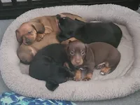 processed/aca1e3a2-04a9-48a6-a5f0-d93b9728f97c/facility/8e092862-77a2-4cde-8b78-12d47911bd6a