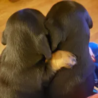 processed/aca1e3a2-04a9-48a6-a5f0-d93b9728f97c/facility/ef07e777-53b2-4b8e-b314-640f40a03aab