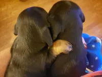 processed/aca1e3a2-04a9-48a6-a5f0-d93b9728f97c/facility/ef07e777-53b2-4b8e-b314-640f40a03aab