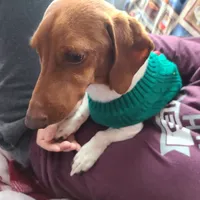 processed/aca1e3a2-04a9-48a6-a5f0-d93b9728f97c/facility/f51e0e43-8a36-4238-8b5d-b01283044189