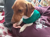 processed/aca1e3a2-04a9-48a6-a5f0-d93b9728f97c/facility/f51e0e43-8a36-4238-8b5d-b01283044189