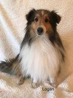 processed/acaa3def-afe5-411d-bfdc-0d8d4944dcc5/facility/fafd3a51-3366-473f-827a-a9b3a71838cc