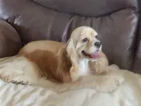 processed/acacd02f-d1f6-4807-909f-0d46722525b4/facility/3d8ba3cd-54e4-4a28-8cfe-c0d89d813966