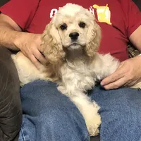 processed/acacd02f-d1f6-4807-909f-0d46722525b4/facility/497ee90c-dcf1-4e9c-97a5-129f139f4610