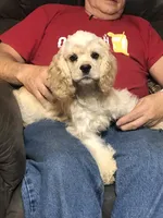 processed/acacd02f-d1f6-4807-909f-0d46722525b4/facility/497ee90c-dcf1-4e9c-97a5-129f139f4610