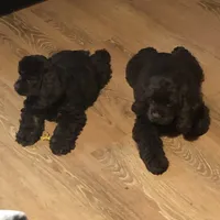 processed/acacd02f-d1f6-4807-909f-0d46722525b4/facility/68d6a3de-551a-4120-81e7-5c12a1121b00