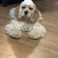 processed/acacd02f-d1f6-4807-909f-0d46722525b4/facility/a346d823-97e6-466c-9b68-d2ade222191d