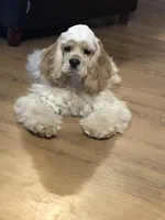 processed/acacd02f-d1f6-4807-909f-0d46722525b4/facility/a346d823-97e6-466c-9b68-d2ade222191d