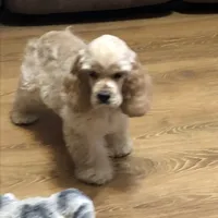 processed/acacd02f-d1f6-4807-909f-0d46722525b4/facility/ff31ccc9-98ca-4eba-a968-346a538efc69