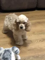 processed/acacd02f-d1f6-4807-909f-0d46722525b4/facility/ff31ccc9-98ca-4eba-a968-346a538efc69