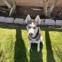 processed/acb15a2b-f2df-4d74-ac79-203b681dfc7a/facility/215bb969-cba0-48b5-94ad-14b2eb8593e7