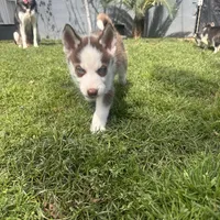 processed/acb15a2b-f2df-4d74-ac79-203b681dfc7a/facility/29cbd7a5-c86e-46e9-b016-8fec0a856c91