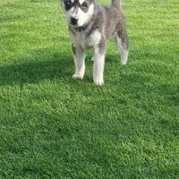 processed/acb15a2b-f2df-4d74-ac79-203b681dfc7a/facility/2a4fa140-75a0-4fb9-9ef4-854e8c15177a