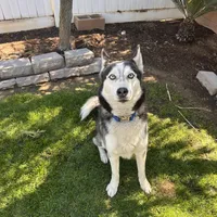 processed/acb15a2b-f2df-4d74-ac79-203b681dfc7a/facility/7c2c7911-2dc0-46e5-809b-b346fd9b4f16