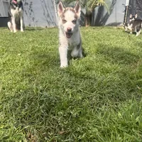 processed/acb15a2b-f2df-4d74-ac79-203b681dfc7a/facility/9cb842c5-b07c-4d2e-8f71-a46bc873c7ce