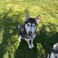 processed/acb15a2b-f2df-4d74-ac79-203b681dfc7a/facility/e1511aa9-182e-4290-a30e-209432438653