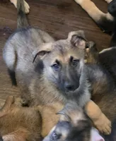 processed/acb22653-c80e-4ff5-8aee-1aba2b3066bb/facility/08d0562b-9a98-49cf-9359-85149c0a7730