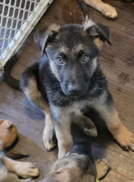 processed/acb22653-c80e-4ff5-8aee-1aba2b3066bb/facility/61f522ac-c1e7-41e6-81ef-677ebea5840e